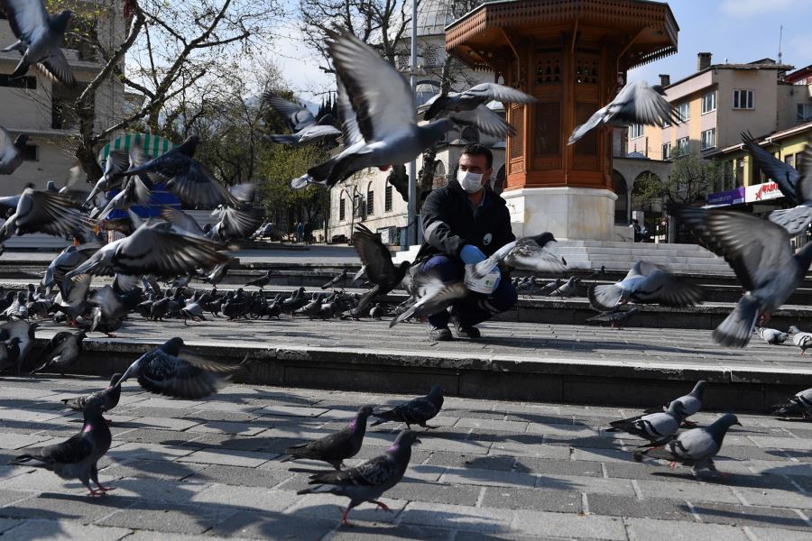   Osmangazi Belediyesi kuşları yemledi