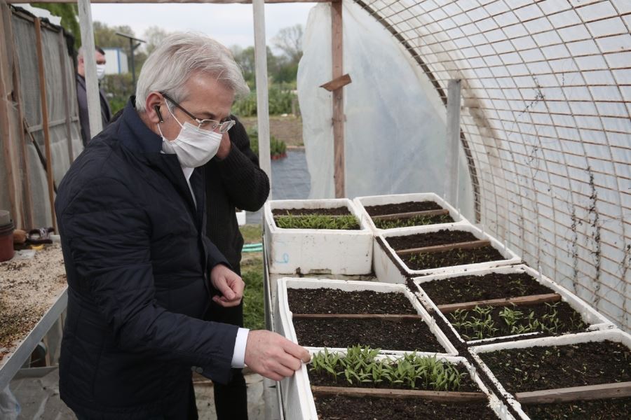 Nilüfer Belediyesi’nden balkon tarımına teşvik “Fidesi bizden ürün sizden”
