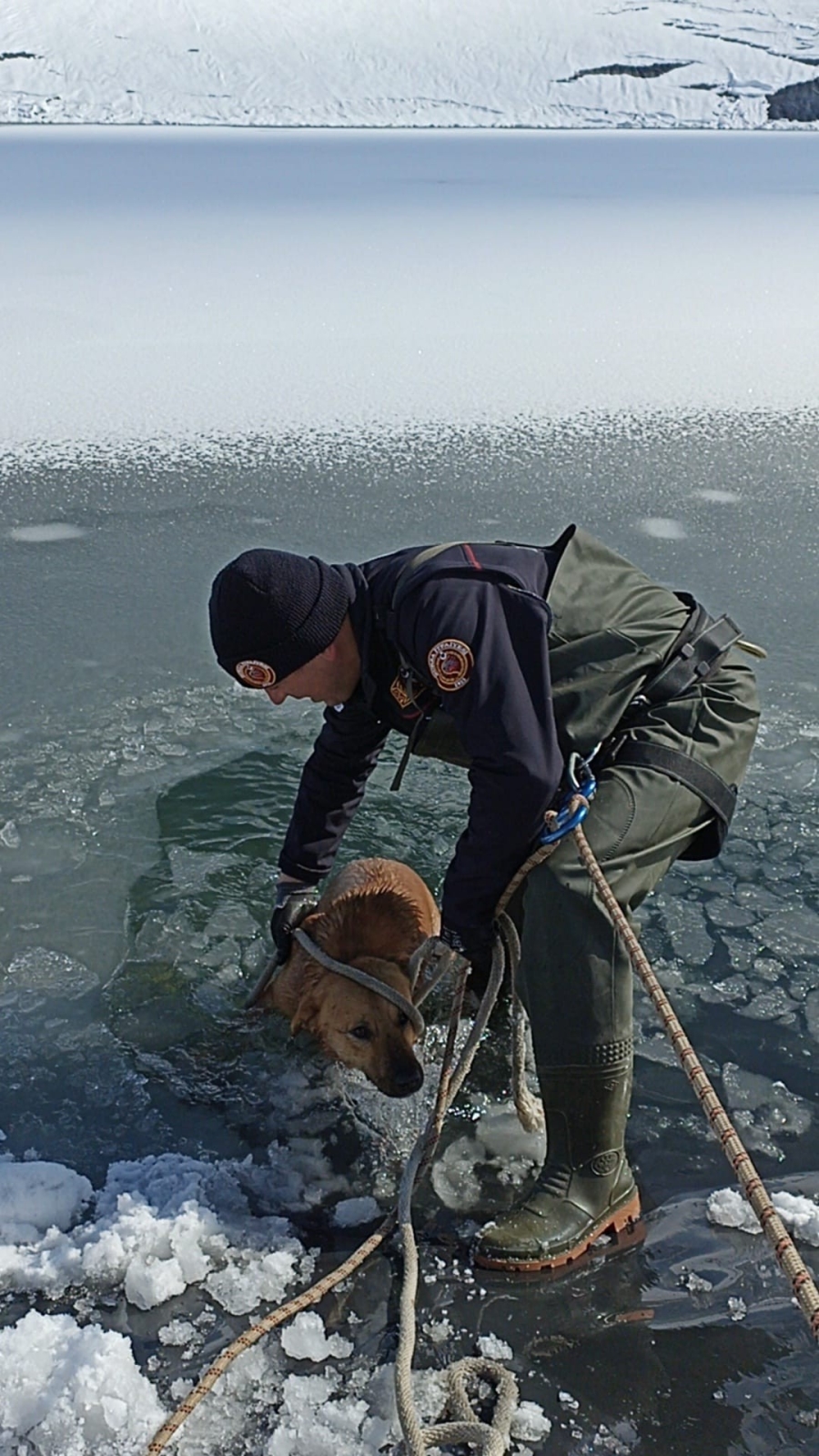 Köpeği donmak üzereyken kurtardılar 