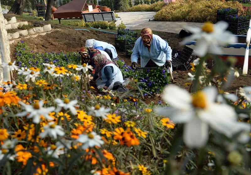 Osmangazi Belediyesi ilçeyi çiçek bahçesine çeviriyor
