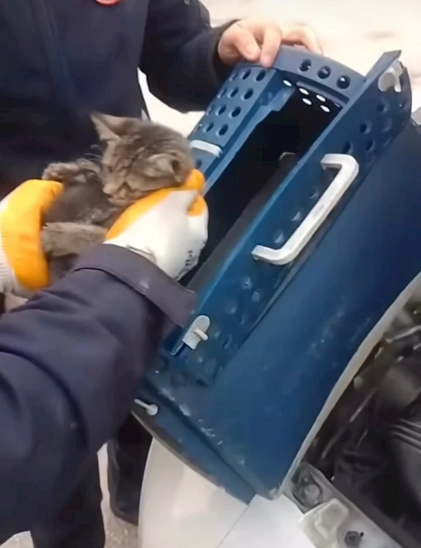 Kaputa giren kediyi itfaiye ekipleri kurtardı
