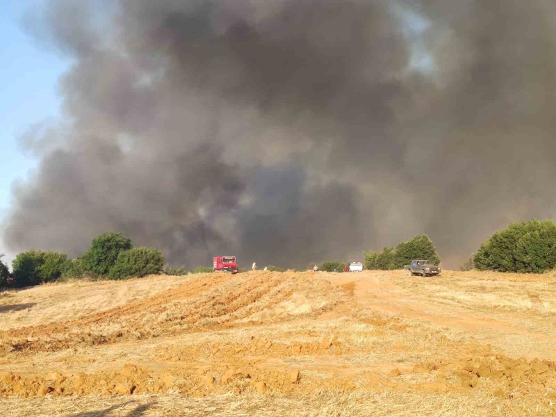 Tekirdağ’daki orman yangınıyla ilgili 2 kişi gözaltına alındı
