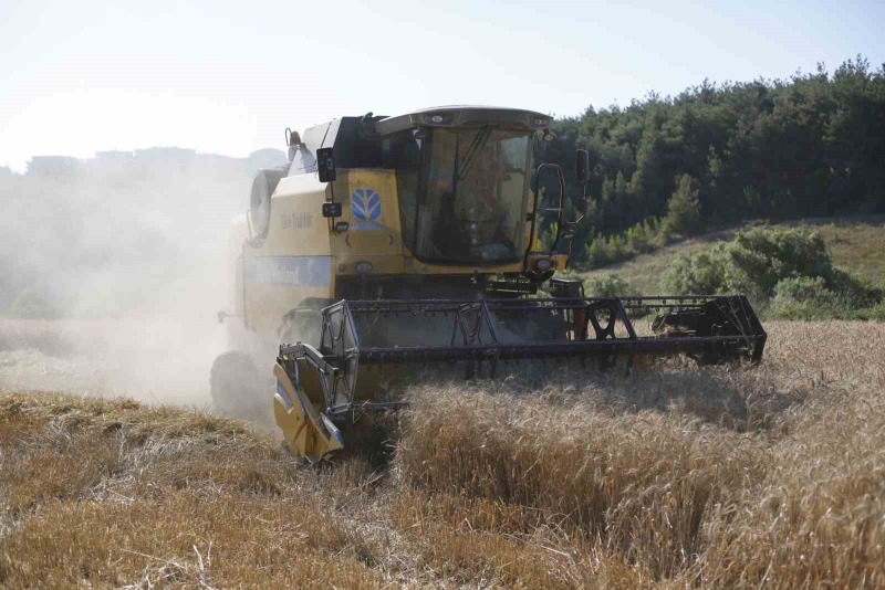 Kestel Belediyesi Türkiye’nin en ucuz ekmeği için buğday hasadını yaptı
