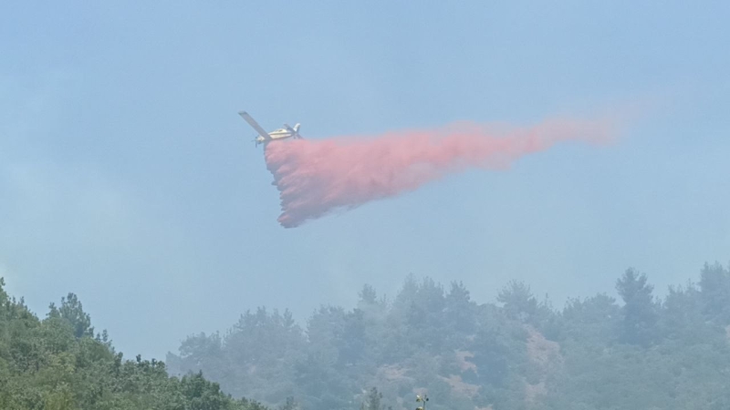 Çanakkale’deki orman yangınlarında hava araçları bin 800 sorti yaptı, 4 bin 900 ton su attı
