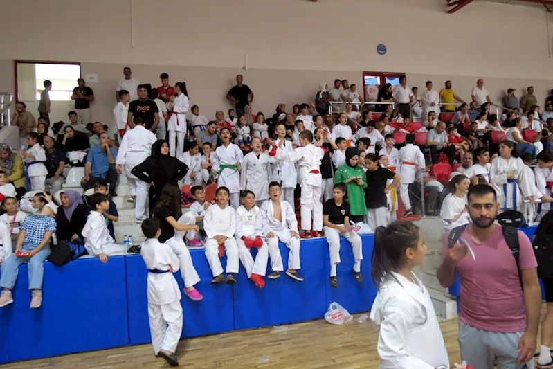 Mudanya’da karateciler Zafer Kupası için kapıştı
