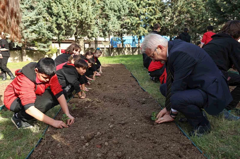 Başkan Erdem öğrencilerle çilek ve marul fidesi dikti
