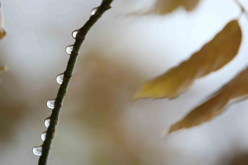 Bursa’da 2 günlük yağışlar ekim ayını kurtardı
