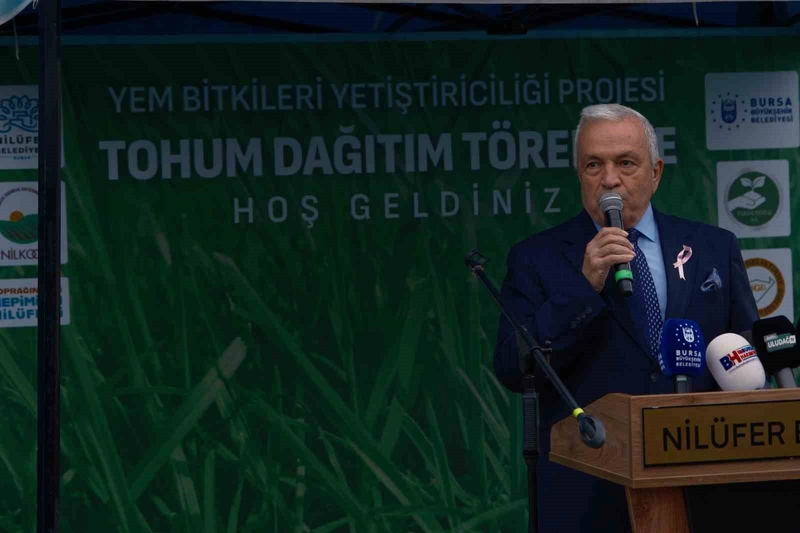 Bursa’da büyükbaşlar İtalyan çimi ile beslenecek
