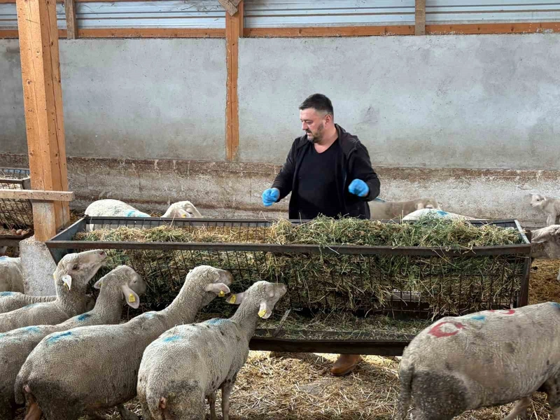 Şap mağduru üreticiler destek bekliyor
