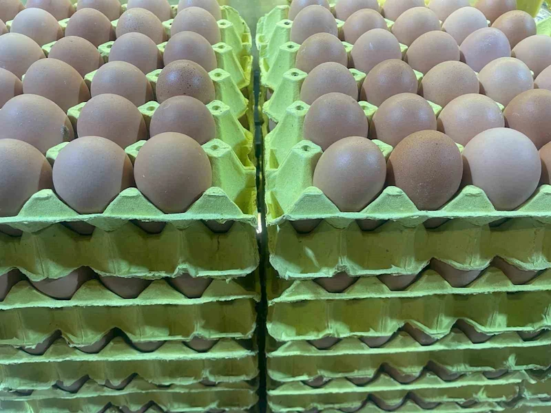 Yumurta fiyatları 