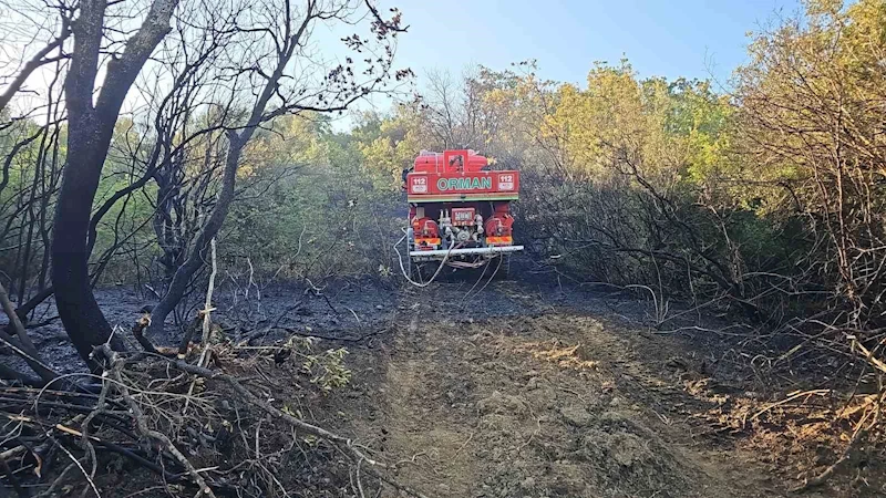 Bursa’da ormanlık alanda çıkan yangın kontrol altına alındı
