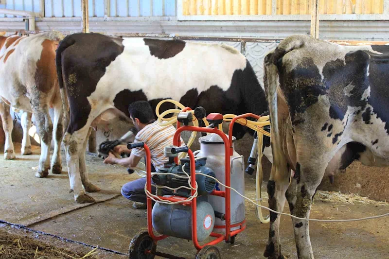 TÜSEDAD’dan çiğ sütte maliyet konusunda iş birliği çağrısı
