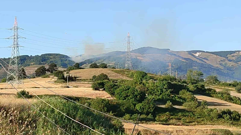 Bursa’da orman yangını
