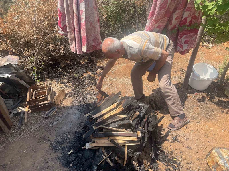 Bursa’daki yangında 300 kovan arı telef oldu
