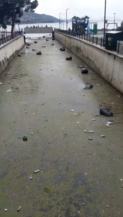 Gemlik körfezi çöplüğe döndü
