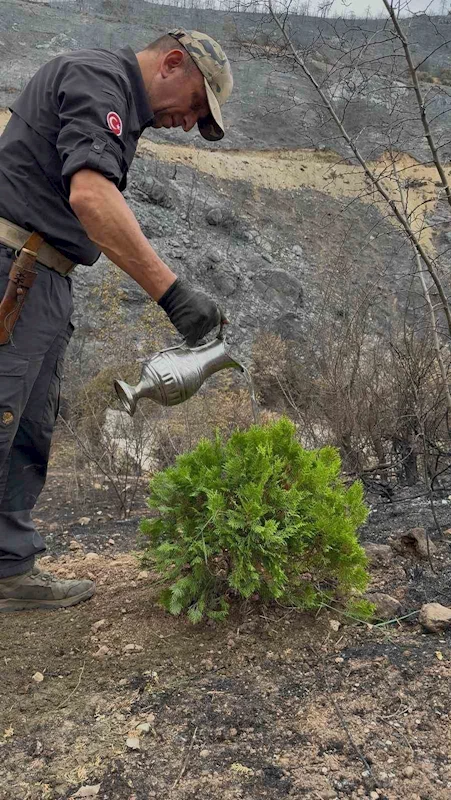 Kül olan topraklara umut ekti
