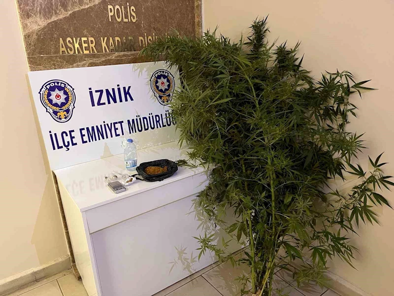 Bahçesinde hint keneviri yetiştiren kişiler tutuklandı
