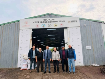 Bu tesiste yılda 400 ton ceviz kurutuluyor

