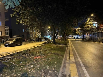 Eyüpsultan’da ağaç kesimi iddiaları sonrası vatandaşlardan İBB’ye tepki
