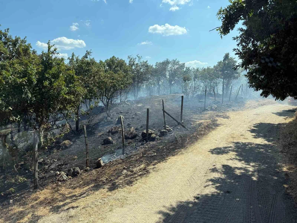 Yenice'de tarım arazisinde yangın havadan ve karadan söndürüldü