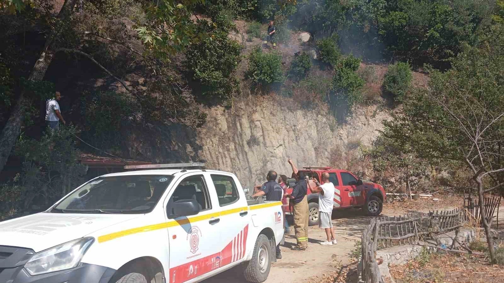 Erdek'teki orman yangını ekiplerin hızlı müdahalesiyle söndü