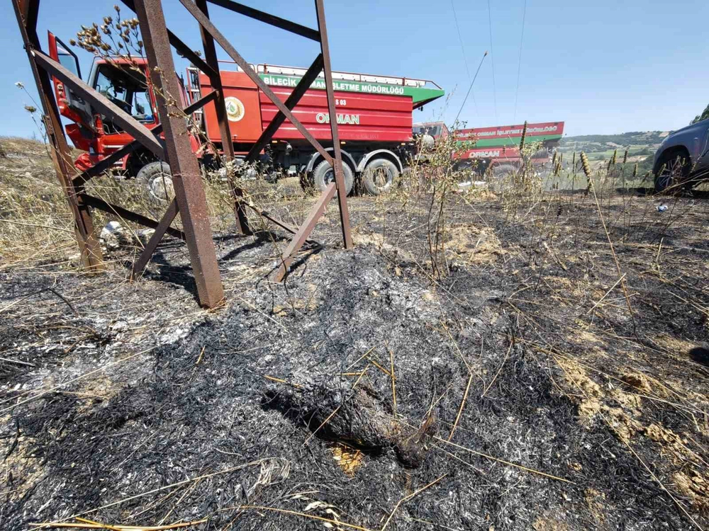 Bilecik’te kuş çarpmasıyla çıkan yangın 15 hektar ormanı yaktı