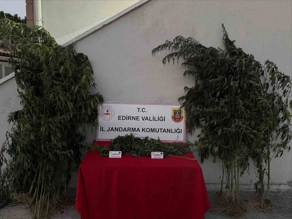 Edirne'de Kamu Arazisine Ekili Kenevirler ve Kubar Esrar Ele Geçirildi; Şüpheli Sularken Yakalandı