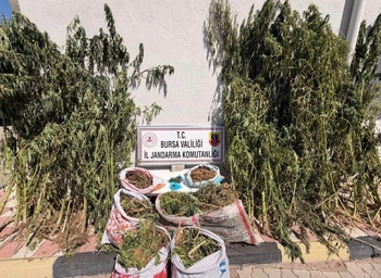 Karacabey'de Uyuşturucu Operasyonu 22 Kilo 675 Gram Esrar Ele Geçirildi
